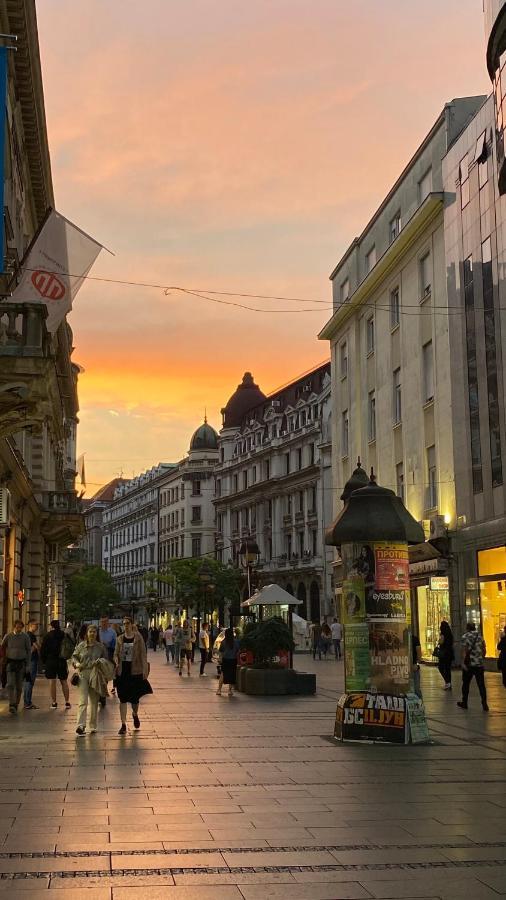 Dom Boutique Apartments - Old Town Belgrad Zewnętrze zdjęcie