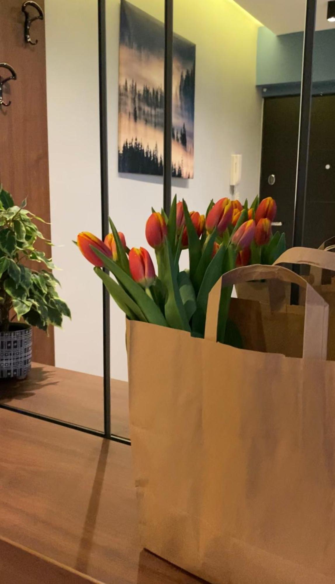Dom Boutique Apartments - Old Town Belgrad Zewnętrze zdjęcie